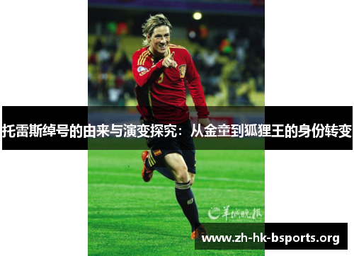 托雷斯绰号的由来与演变探究:从金童到狐狸王的身份转变 托雷斯绰号的由来与演变探究:从金童到狐狸王的身份转变